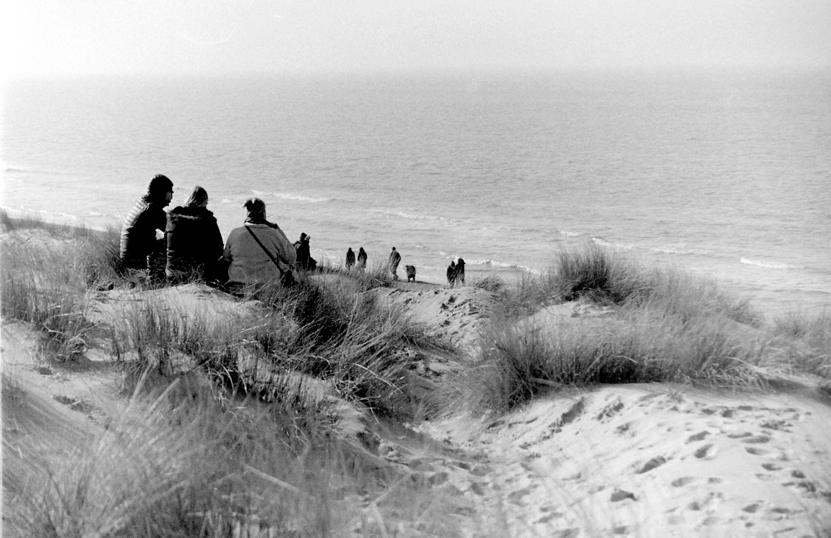 Strand De Haan 2