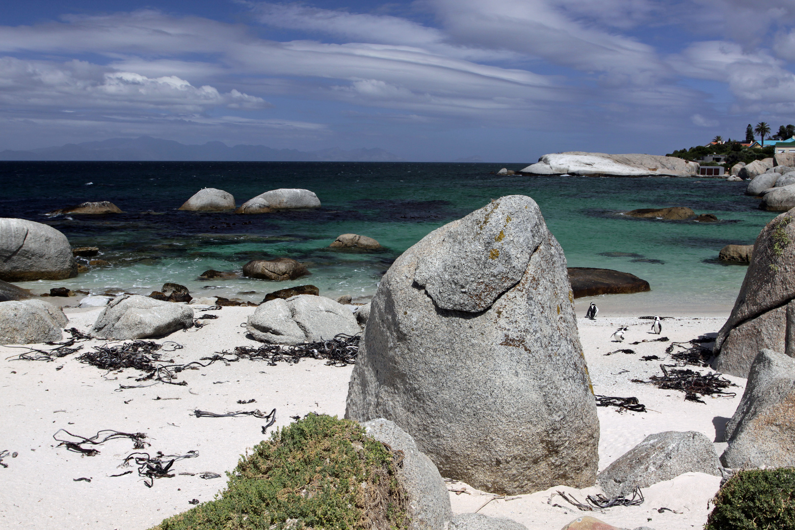 Strand der Ästheten