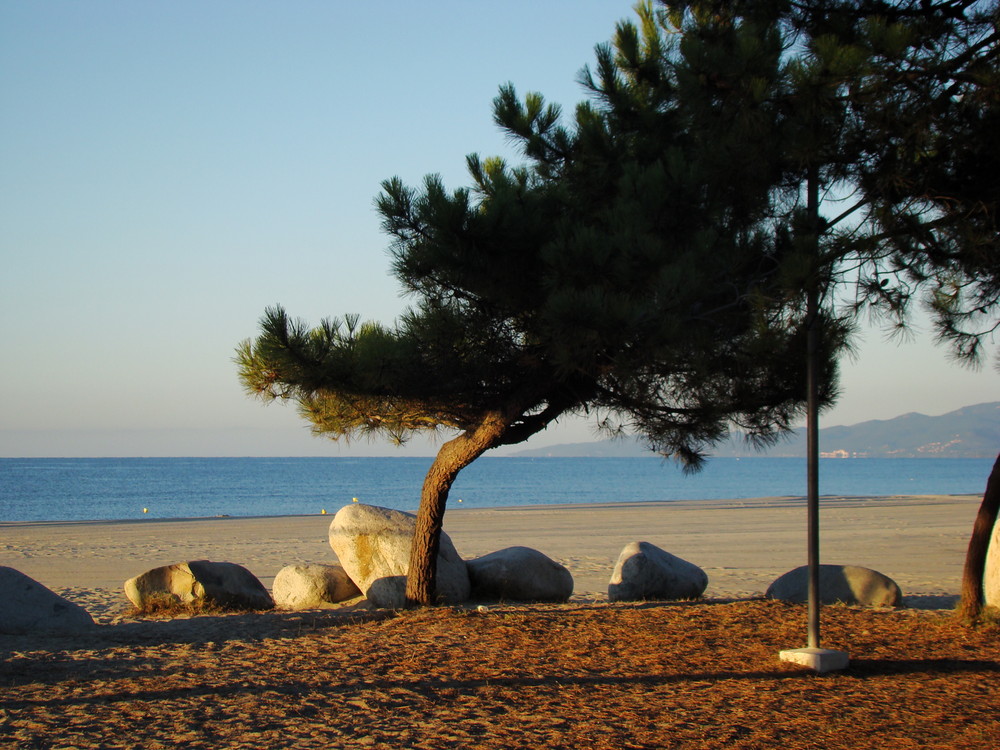 Strand der "Insel der Schönheit"