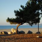 Strand der "Insel der Schönheit"