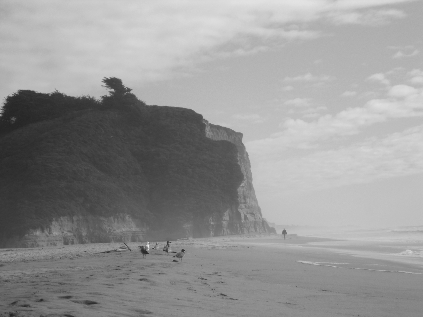 Strand der Route No 1 -Westküste USA