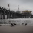 Strand der Tauben