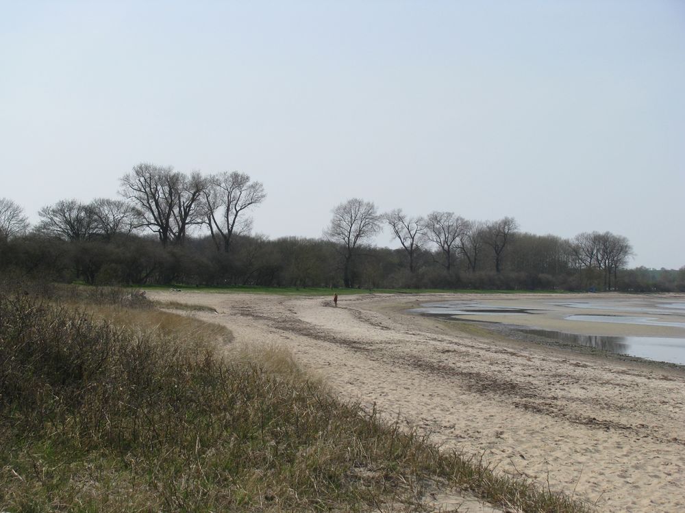 Strand der Wohlenberger Wiek [2018] Foto & Bild natur, landschaft
