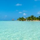 Strand des Glovers Reef Atoll,Belize