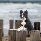 Strand Dishoek