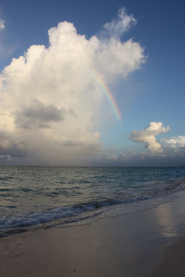 Strand DomRep 2009