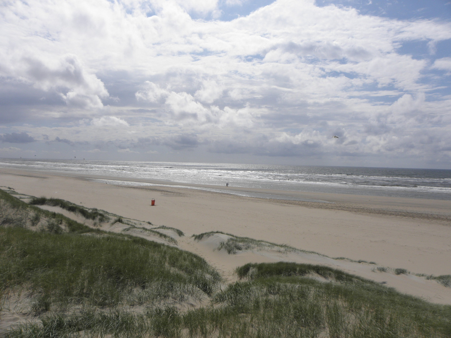 strand-duinen