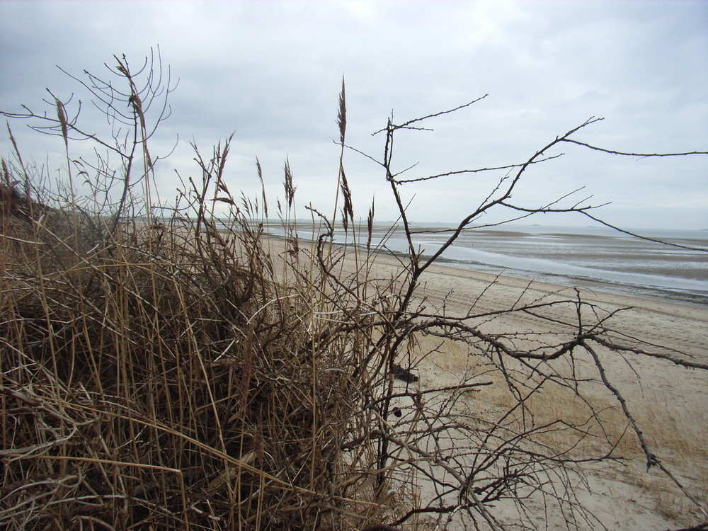 Strand-Durchblick