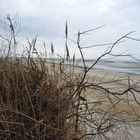 Strand-Durchblick