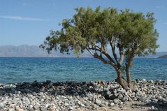 Strand Elounda