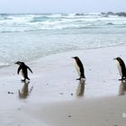 Strand erreicht