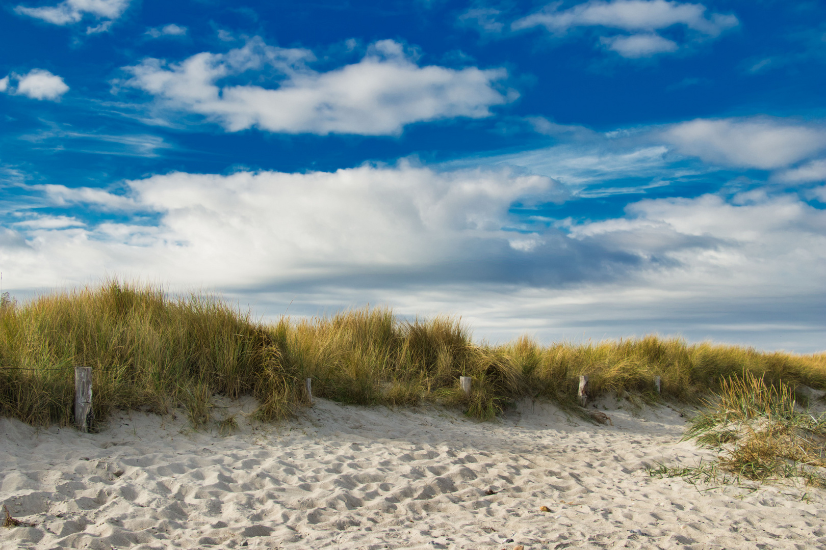 Strand Fehmarn GrünerBrink