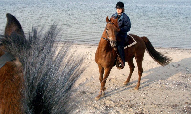 Strand Fetzen