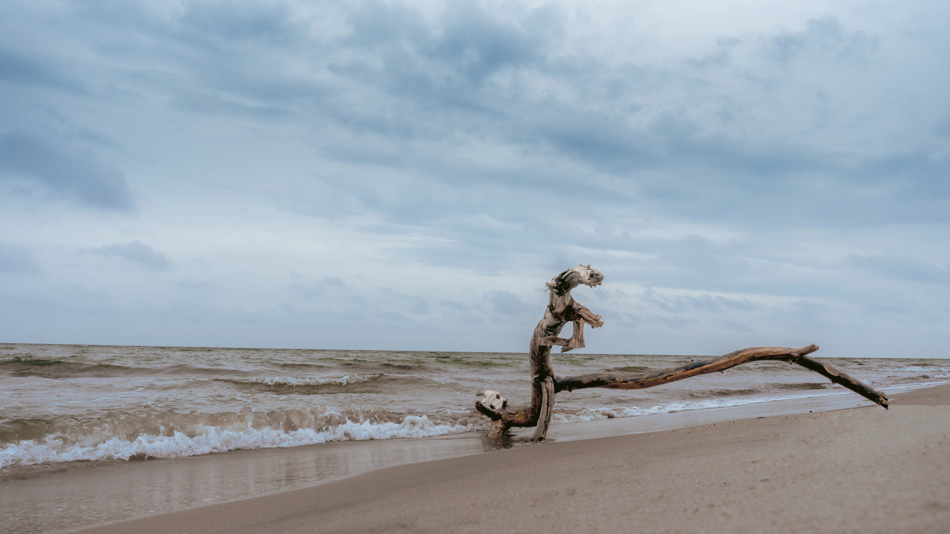 Strand Fischland Darß