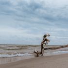 Strand Fischland Darß