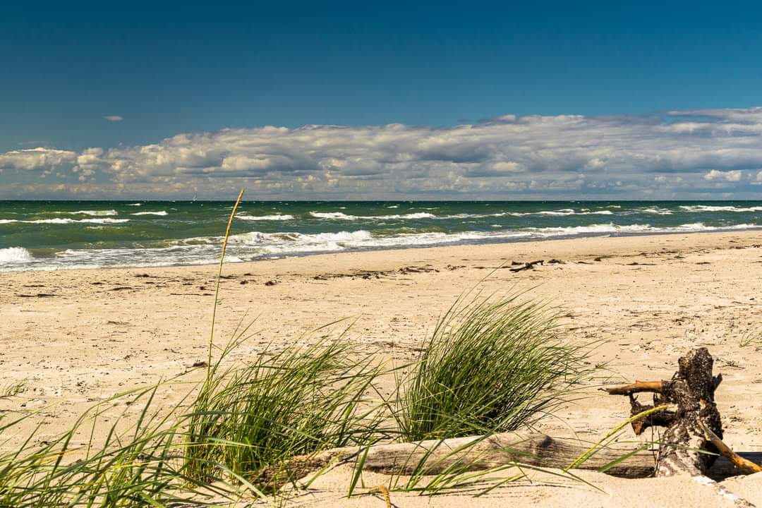 Strand Fischland