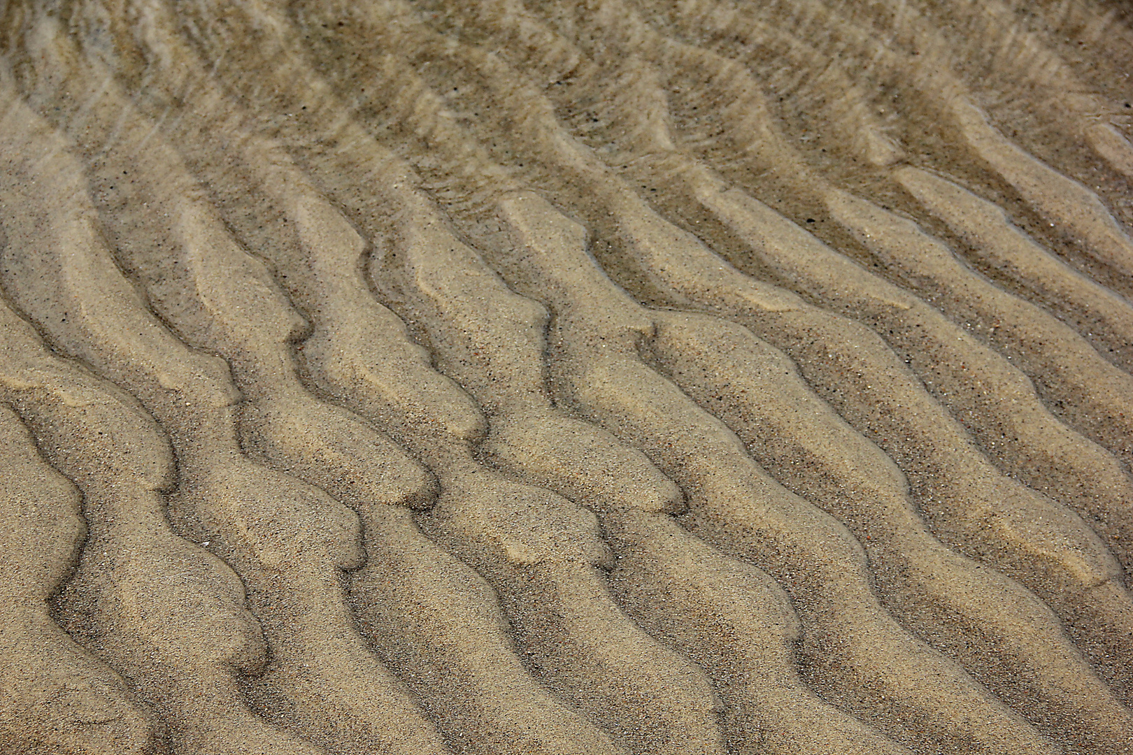 Strand formation