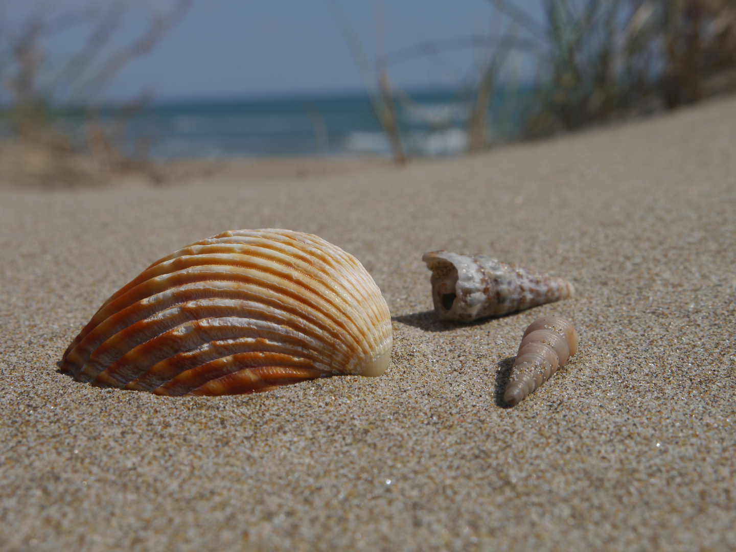 Strand Frankreich