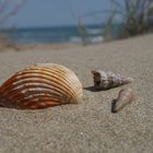 Strand Frankreich