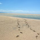 Strand Fuerteventura