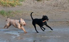 Strand-Fun in Ostfriesland