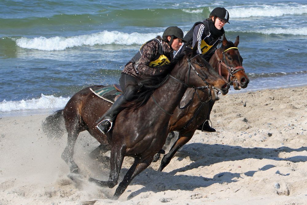 STRAND-GALOPP-RENNEN