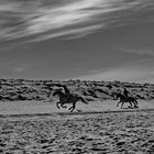 Strand Graal-Müritz