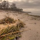 Strand grün