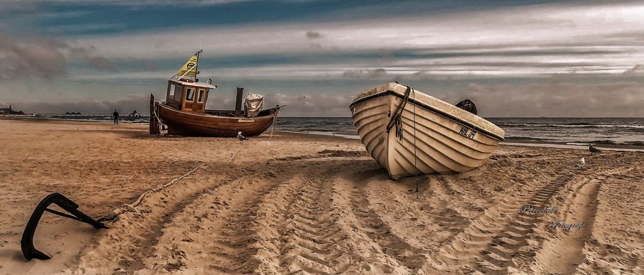 ...Strand Heringsdorf ~ auf Land gezogen...
