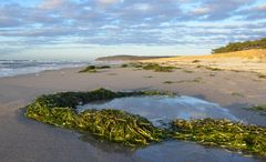 Strand Hiddensee 