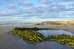 Strand Hiddensee 