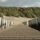 Strand Holland Noordduine