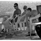 Strand Hund Szene