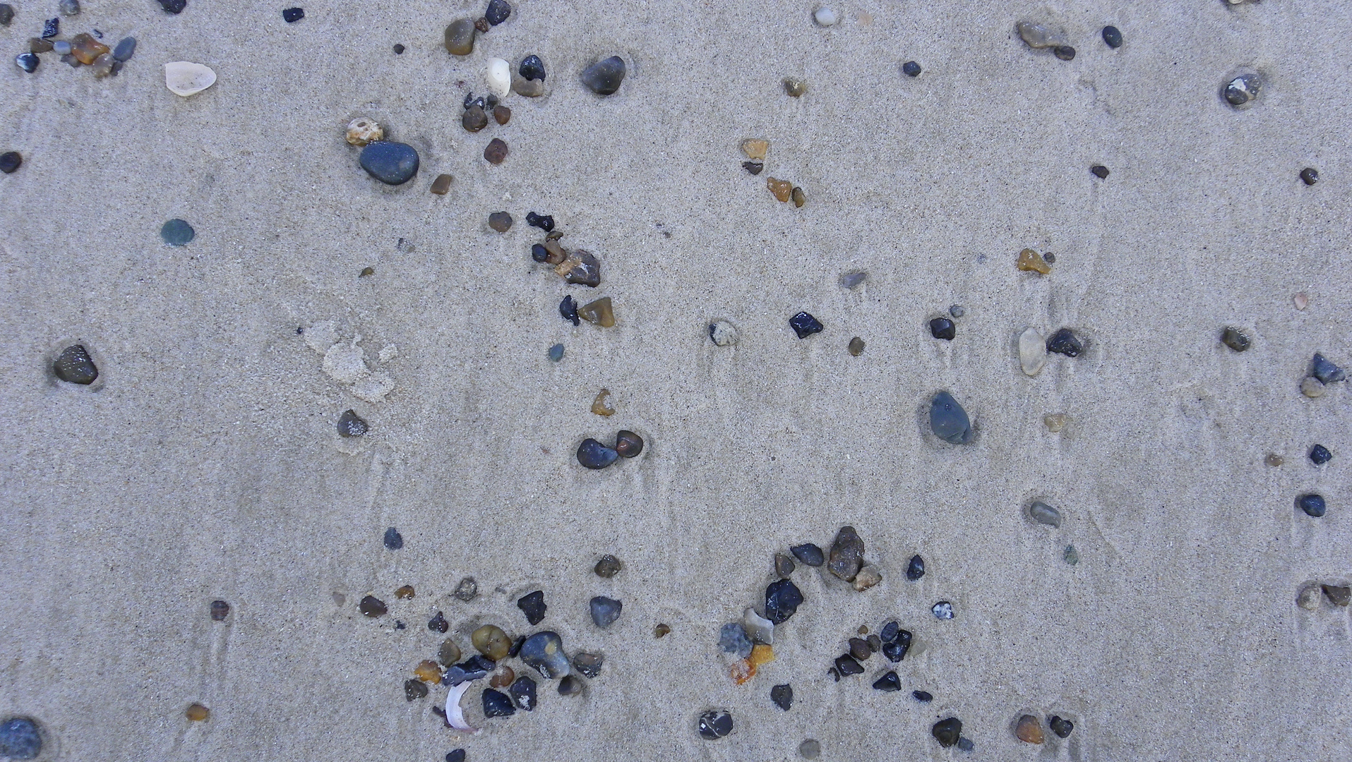 Strand, Hvidestrand, Dänemark 2