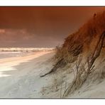 Strand I Domburg im März 2008