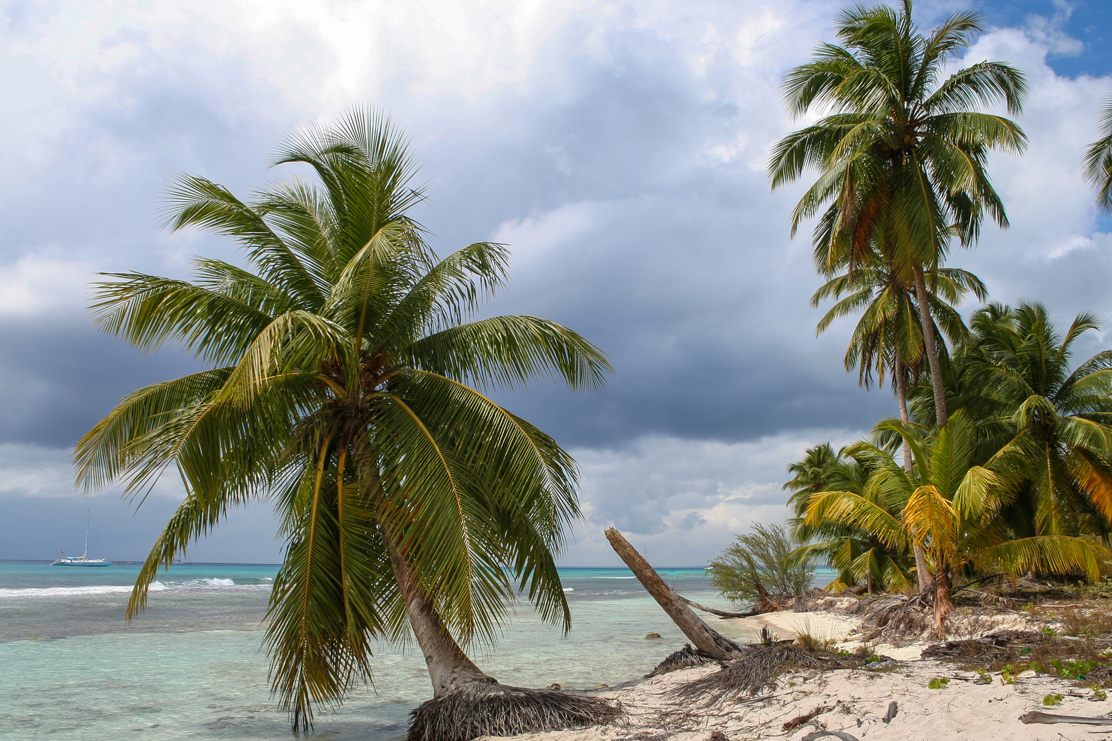 Strand-Idylle auf der Insel Saona