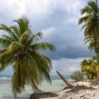 Strand-Idylle auf der Insel Saona