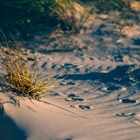 Strand Idylle bei Abenddämmerung