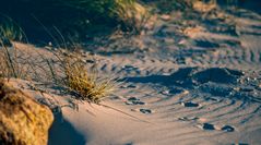 Strand Idylle bei Abenddämmerung