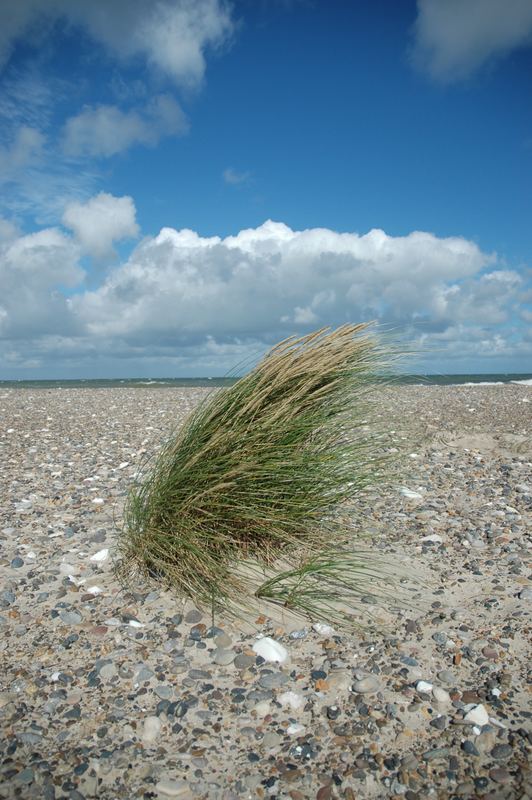 Strand Idylle