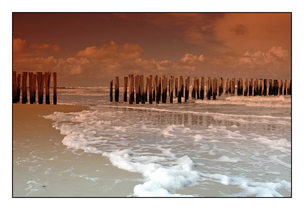 Strand II Domburg im März 2008