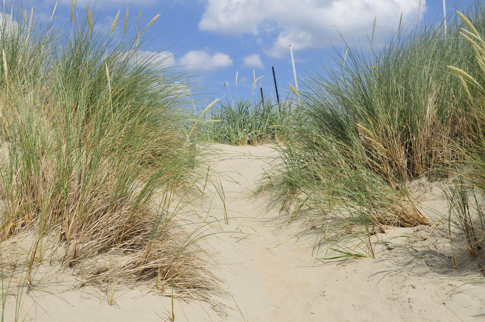 Strand IJmuiden Niederlanden