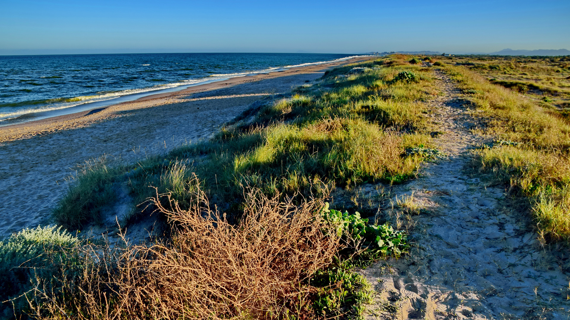 Strand im Dehesa Naturpark 