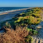 Strand im Dehesa Naturpark 