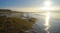 Strand im Gegenlicht 