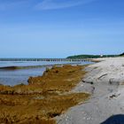 Strand im Mai