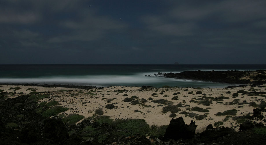 Strand im Mondlicht