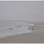 Strand im Nebel