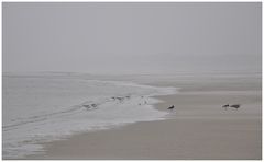 Strand im Nebel