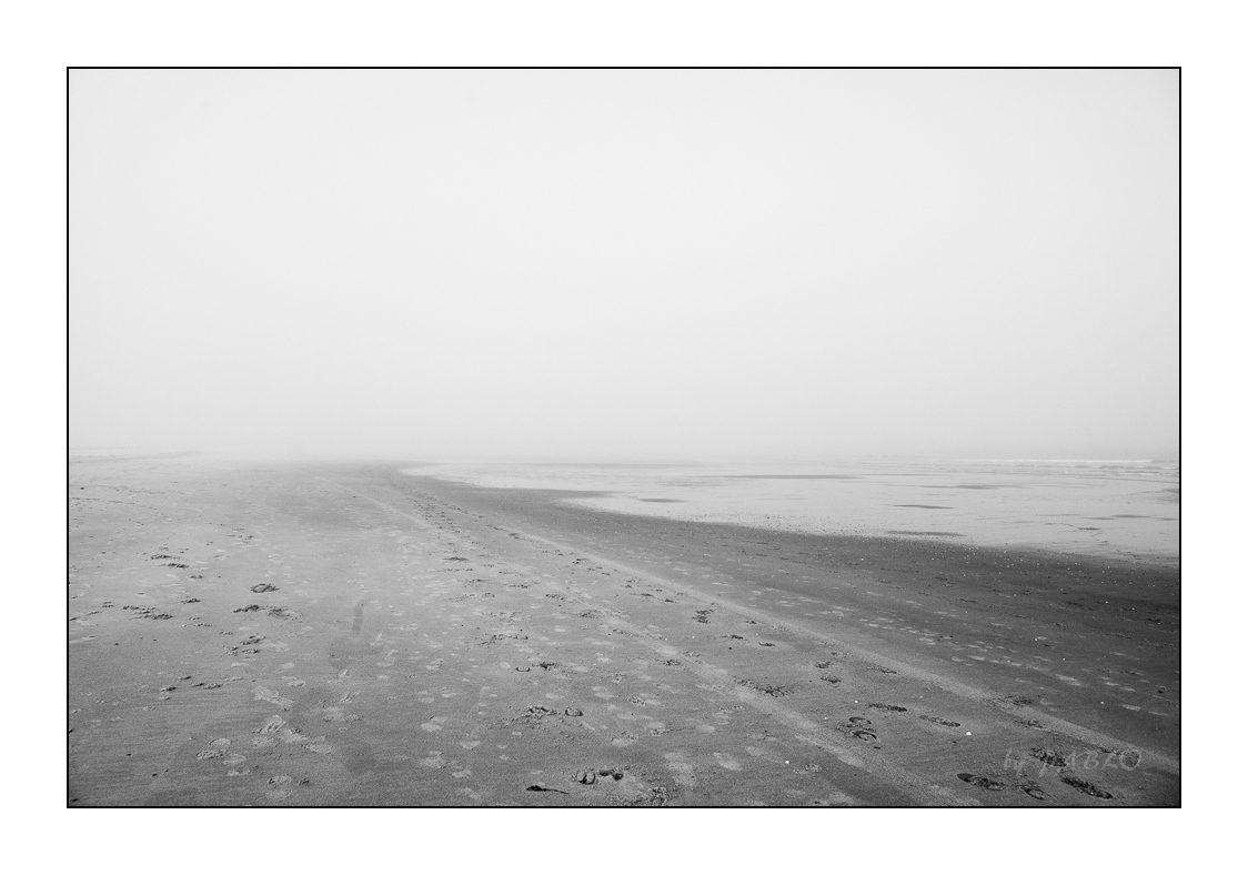 Strand im Nebel